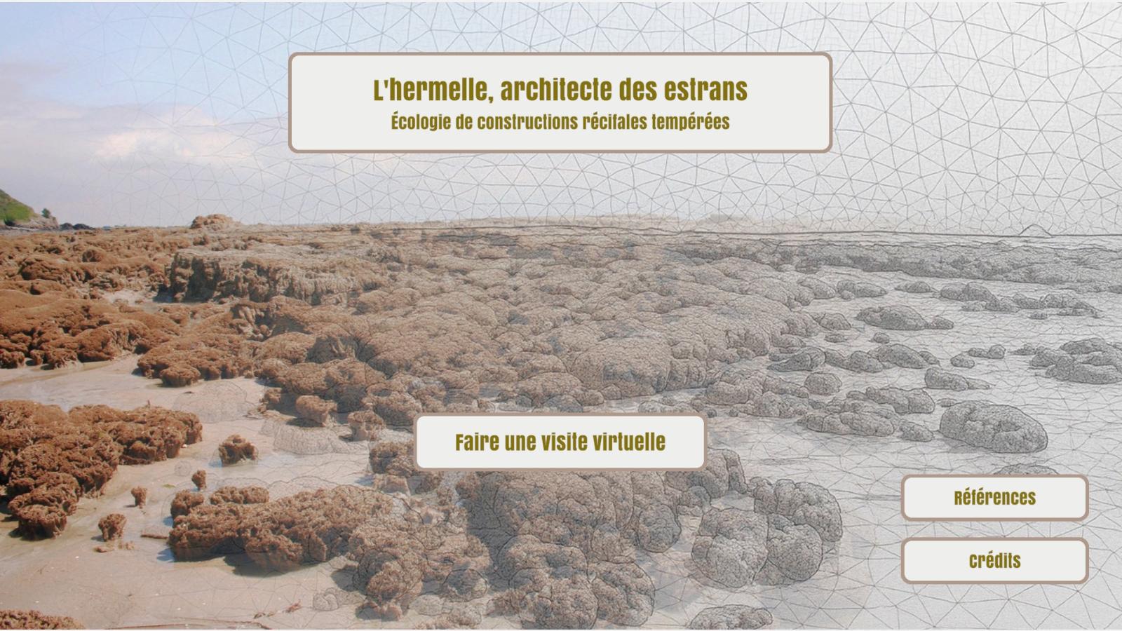 Récifs d'hermelles et réalité virtuelle